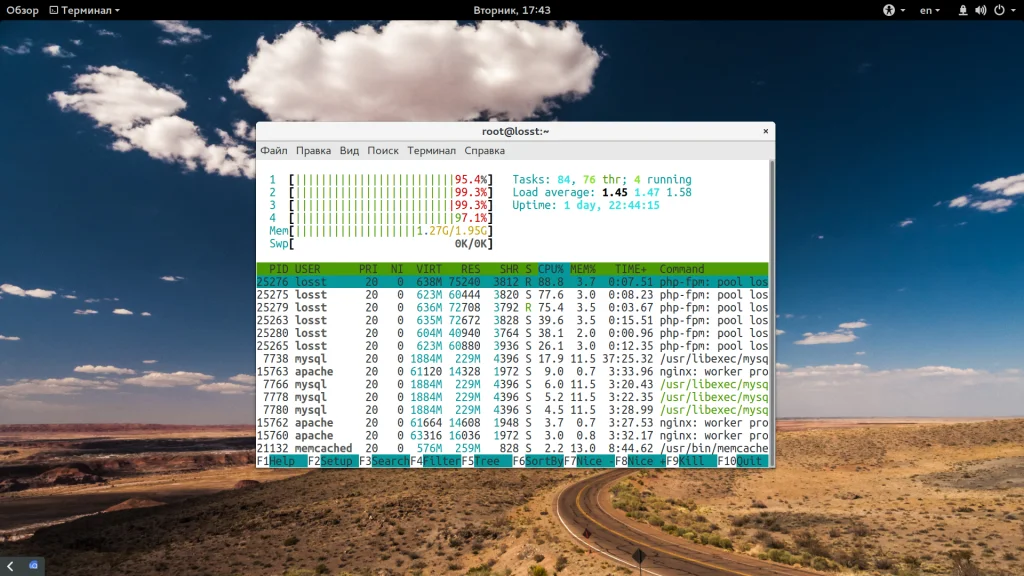 Nginx выдает ошибку 504? Вот как быстро это исправить