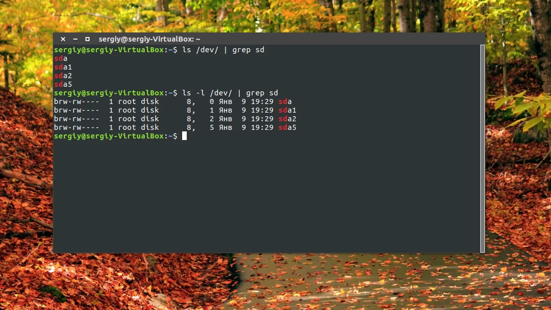 Где найти диски в Linux: 5 способов посмотреть все подключенные накопители