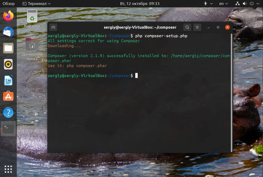 Composer в Ubuntu 20.04: Полное руководство по установке и работе с менеджером зависимостей PHP