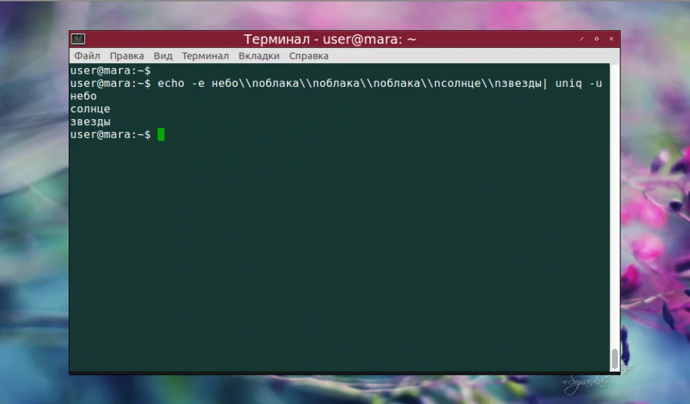 Uniq в Linux: Как легко найти и убрать дубликаты в тексте