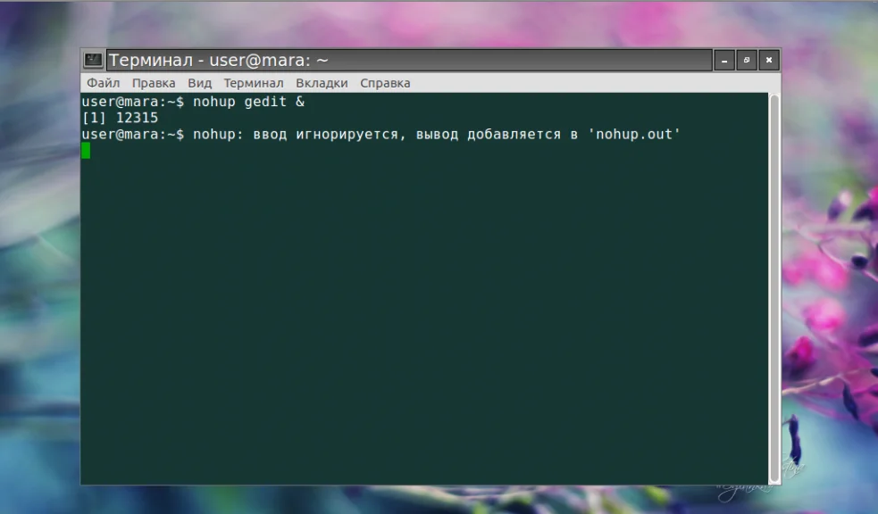 Фоновые процессы в Linux: как освободить терминал и не потерять задачи