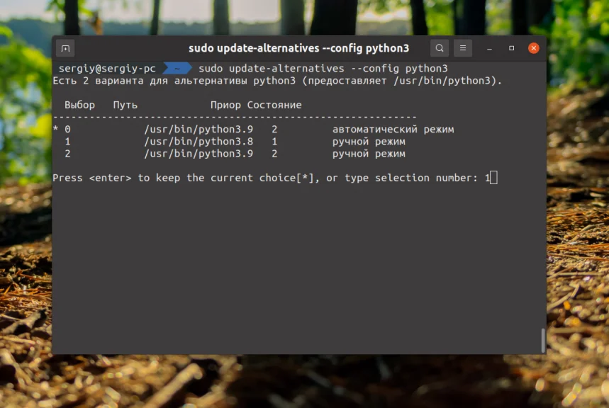 Python 3 на Ubuntu: Установи последнюю версию за 5 минут!