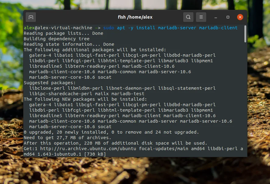 MariaDB в Ubuntu 20.04: Полное руководство по установке и настройке