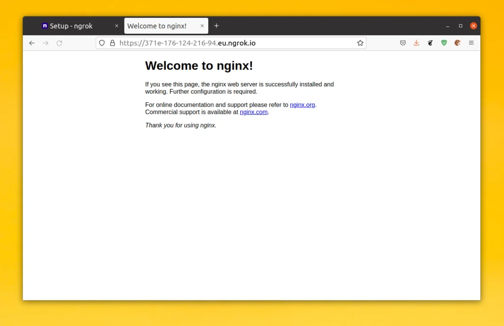 Ngrok: Как вывести локальный сервер в интернет за 5 минут