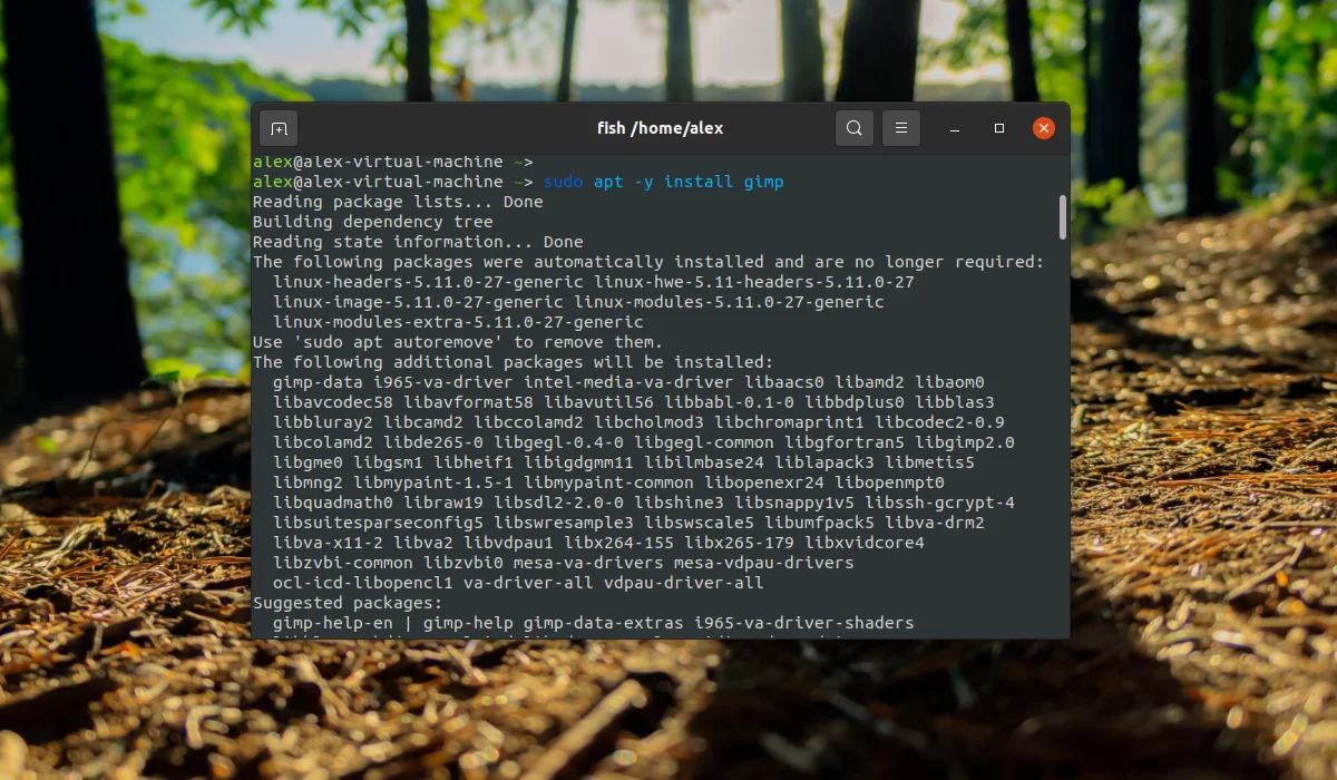 GIMP в Ubuntu: 4 простых способа установить мощный фоторедактор