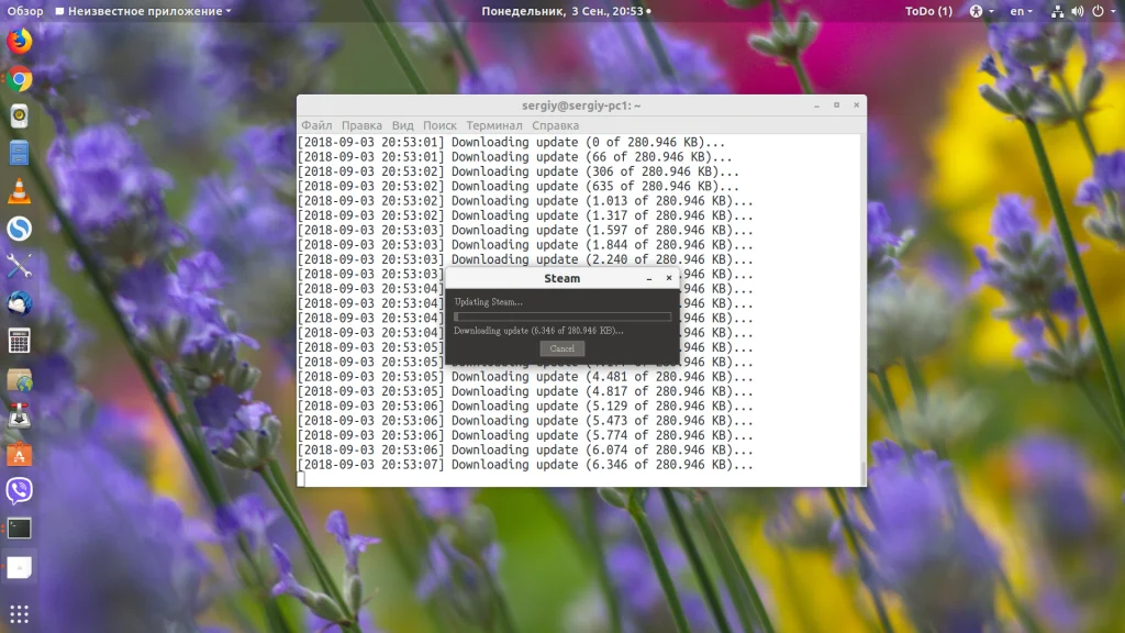 Игры для Windows в Linux: играйте без границ через Steam Play