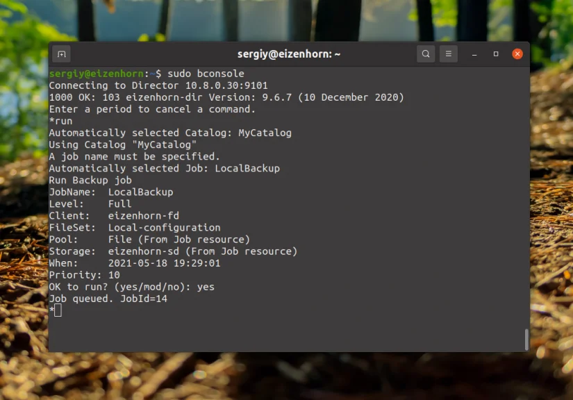 Bacula: Настройте надежное резервное копирование на Linux за 6 шагов