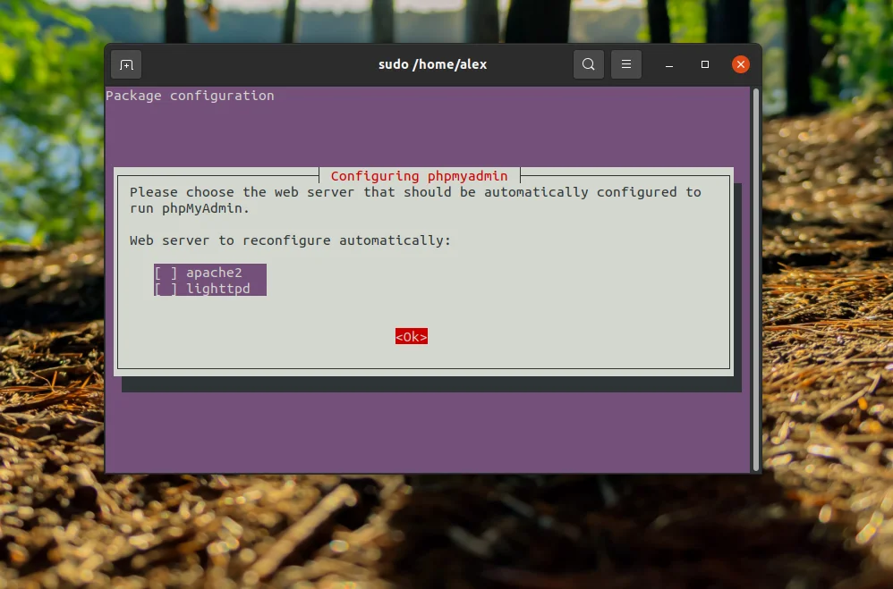 PhpMyAdmin на Ubuntu 20.04: Полная инструкция по установке и настройке с Nginx
