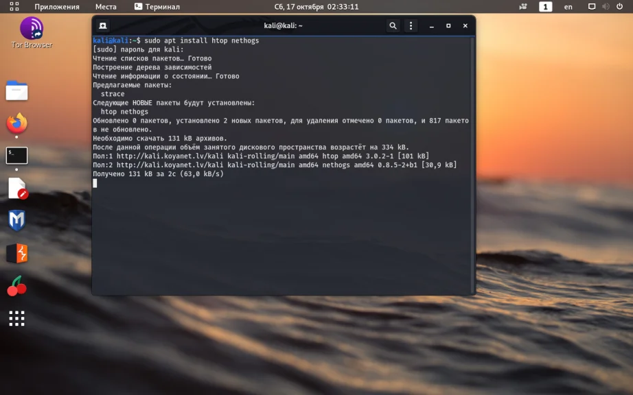 Kali Linux: Полная настройка системы для работы после установки