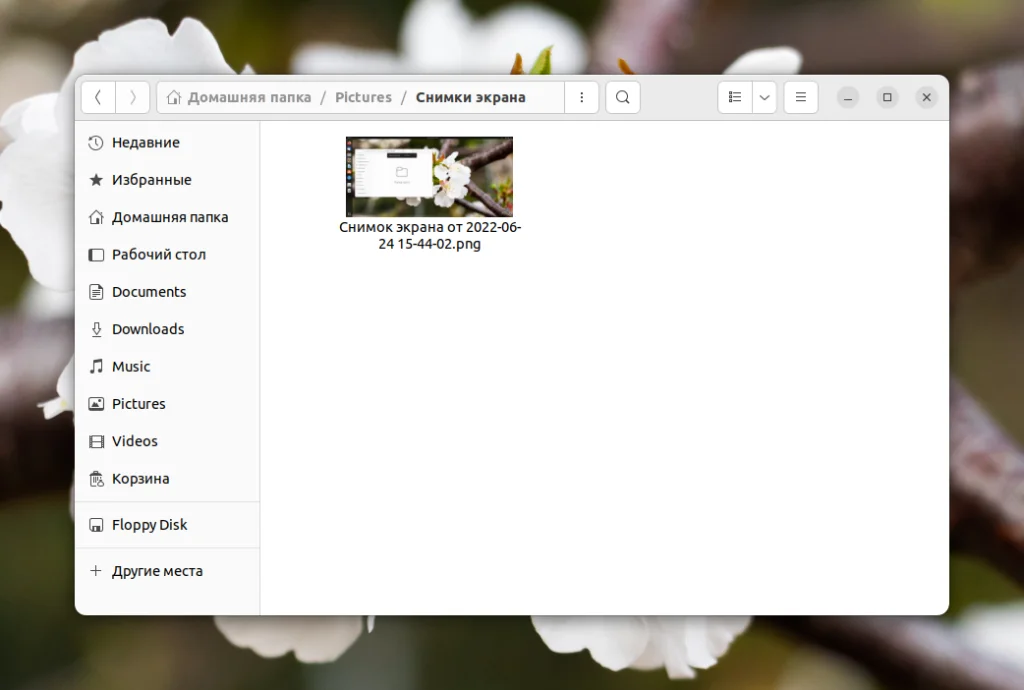 Захватываем экран Ubuntu: 2 способа сделать идеальный скриншот