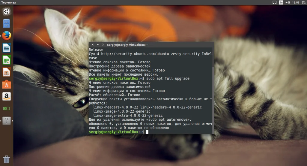 Ubuntu 17.04: Полная настройка системы для идеальной работы