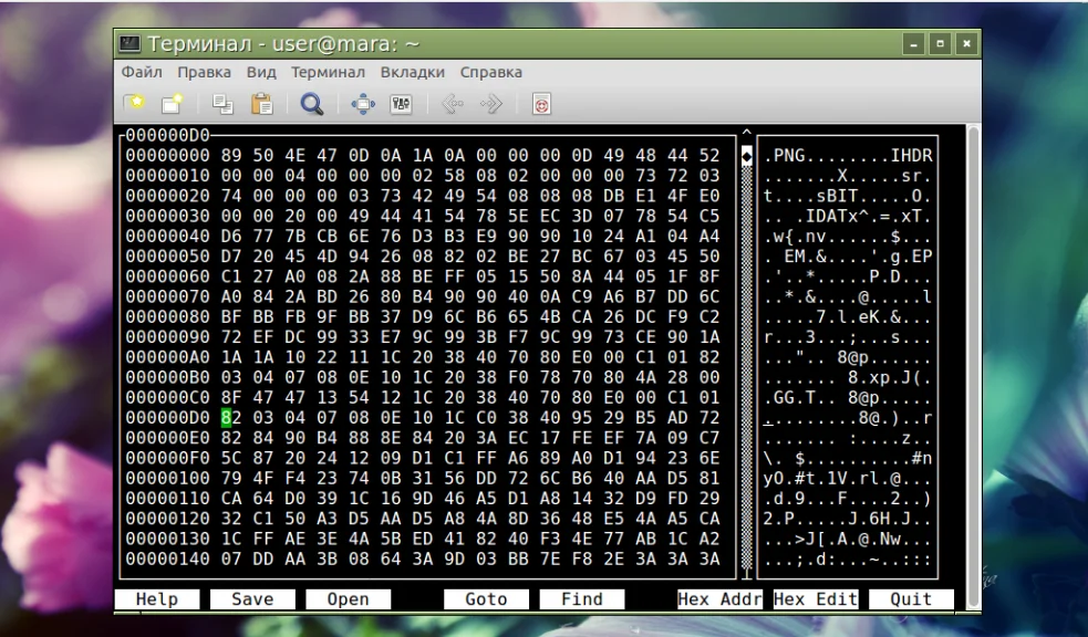 Загляни под капот файла: Топ-15 HEX-редакторов для Linux