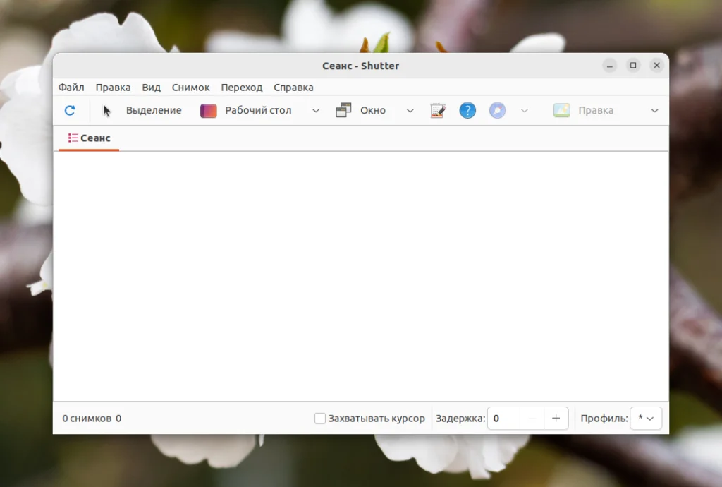 Захватываем экран Ubuntu: 2 способа сделать идеальный скриншот