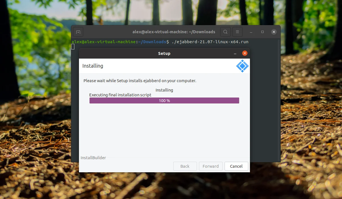 Свой Jabber-сервер на Ubuntu 20.04 за 5 минут: полный гайд по установке ejabberd