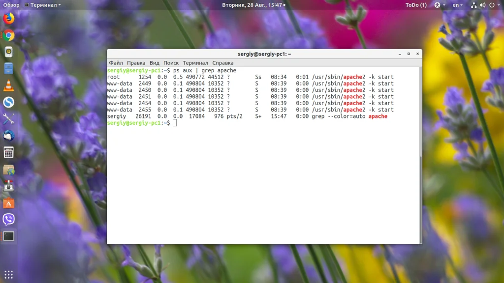 PID процесса в Linux: 4 способа найти и обезвредить любой процесс