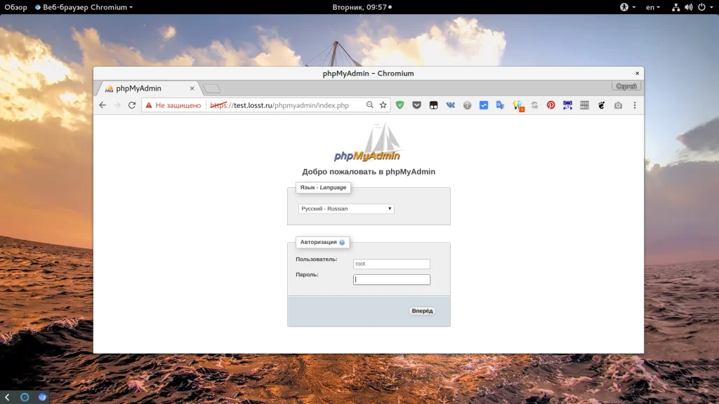 PhpMyAdmin: Полное руководство по управлению базами данных MySQL без командной строки