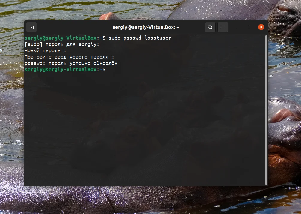 Забыли пароль Ubuntu? Верните доступ за 5 минут!