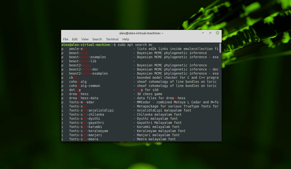 Установка программ в Linux Mint: 5 простых способов для новичков
