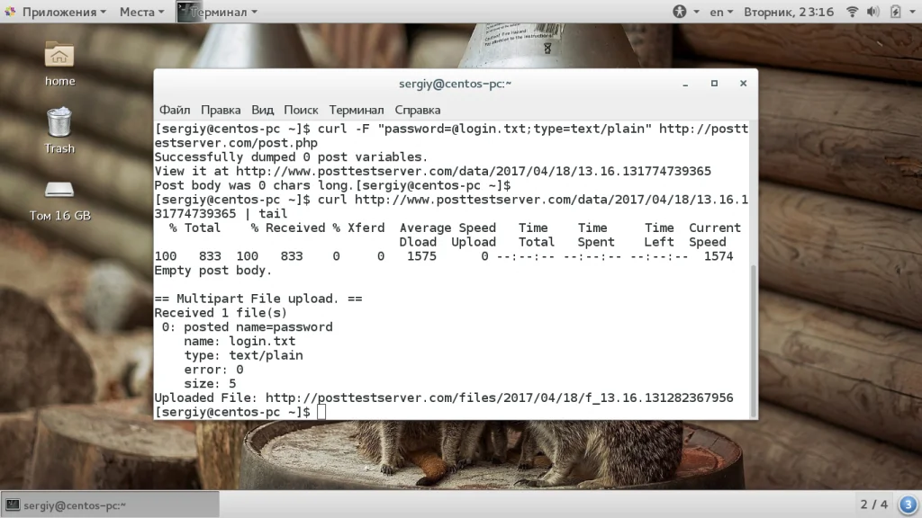 Curl: Мастер-класс по работе с терминалом для загрузки, тестирования и автоматизации