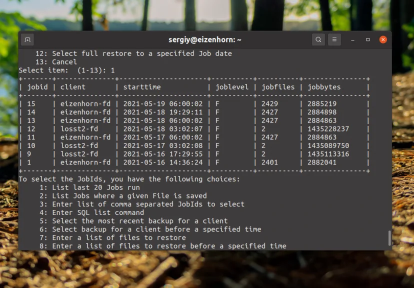 Bacula: Настройте надежное резервное копирование на Linux за 6 шагов