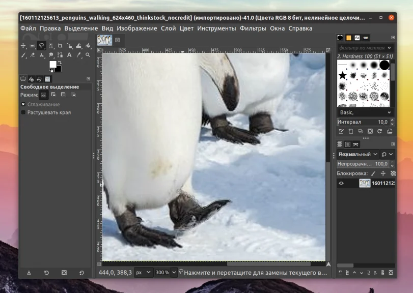 Вырезаем объект в GIMP: Простые способы для идеального результата