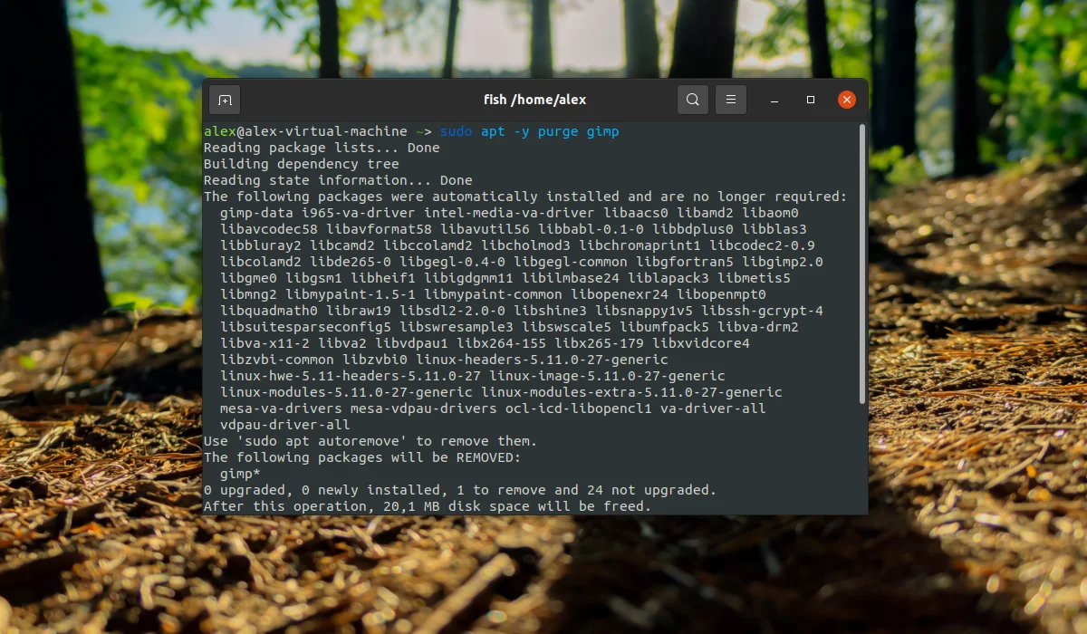 GIMP в Ubuntu: 4 простых способа установить мощный фоторедактор