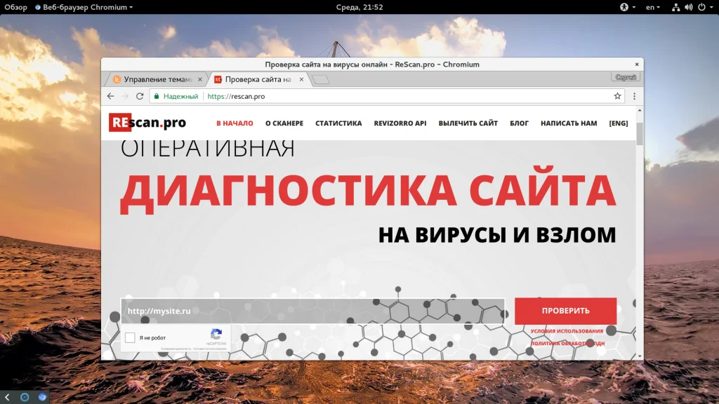 Вирусы в WordPress: 6 способов проверить сайт на угрозы