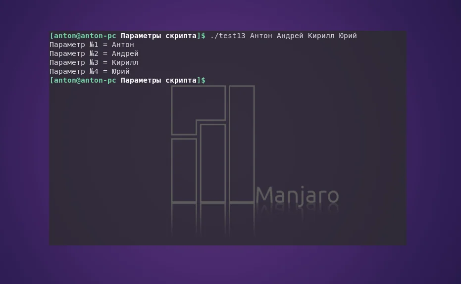 Bash: Как заставить скрипты понимать ваши команды? Полное руководство по аргументам