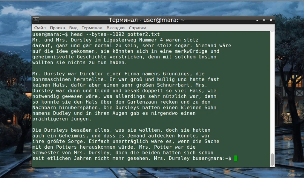 Head в Linux: как быстро просмотреть начало файла и скрытые возможности команды