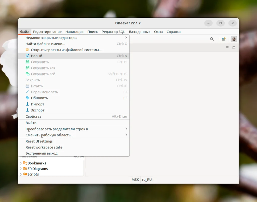 DBeaver в Ubuntu 22.04: 3 простых способа установки и быстрый старт