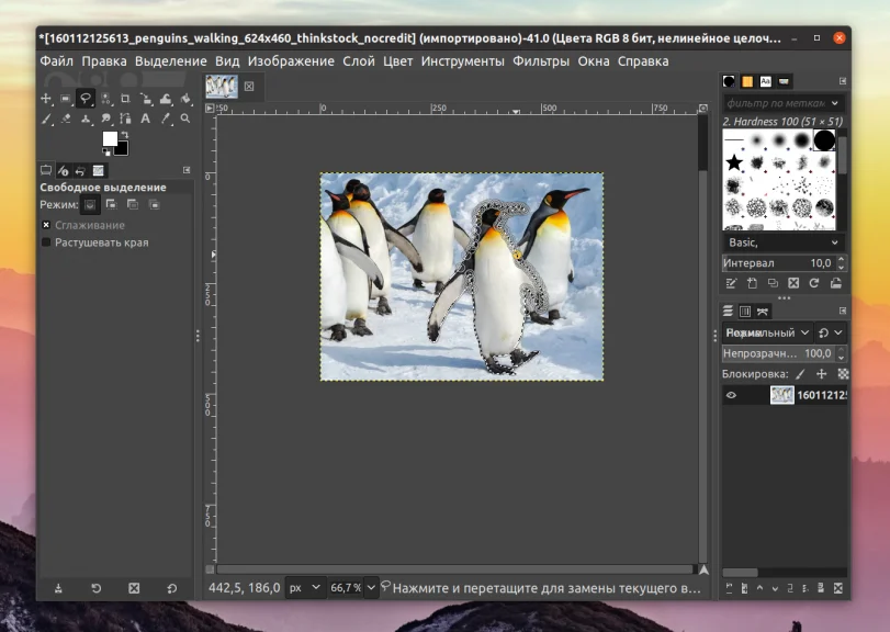 Вырезаем объект в GIMP: Простые способы для идеального результата