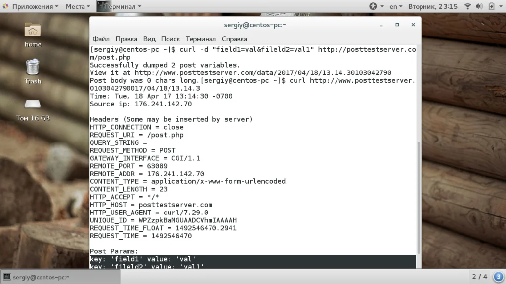 Curl: Мастер-класс по работе с терминалом для загрузки, тестирования и автоматизации