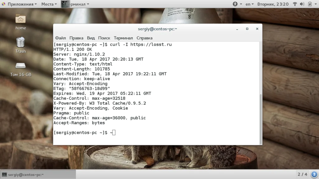 Curl: Мастер-класс по работе с терминалом для загрузки, тестирования и автоматизации