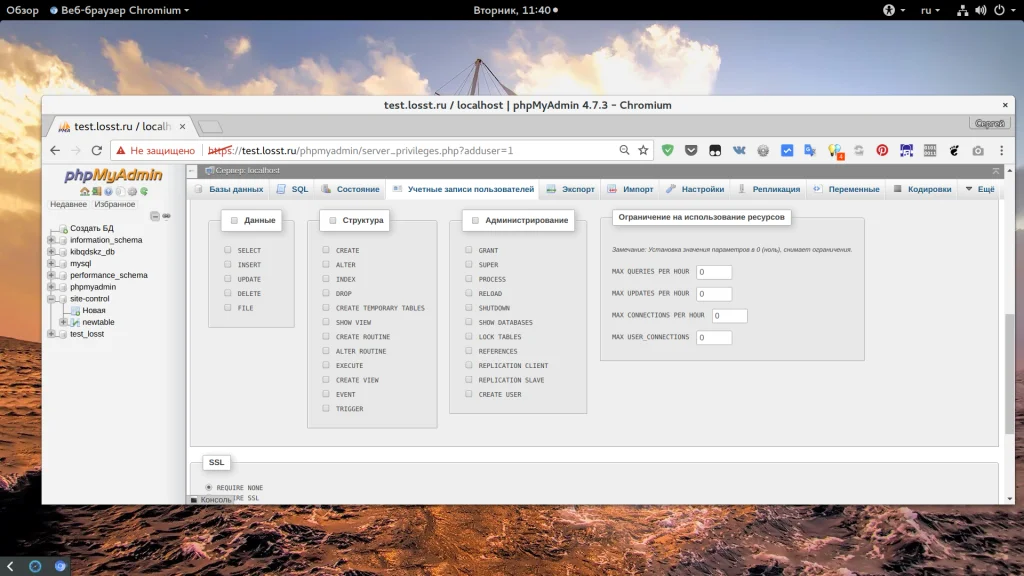 PhpMyAdmin: Полное руководство по управлению базами данных MySQL без командной строки
