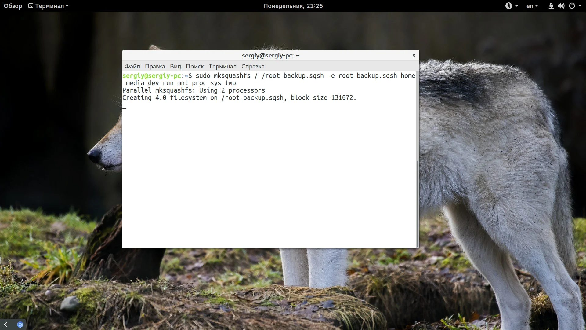 Ubuntu: 5 способов создать резервную копию системы, которые спасут ваши данные