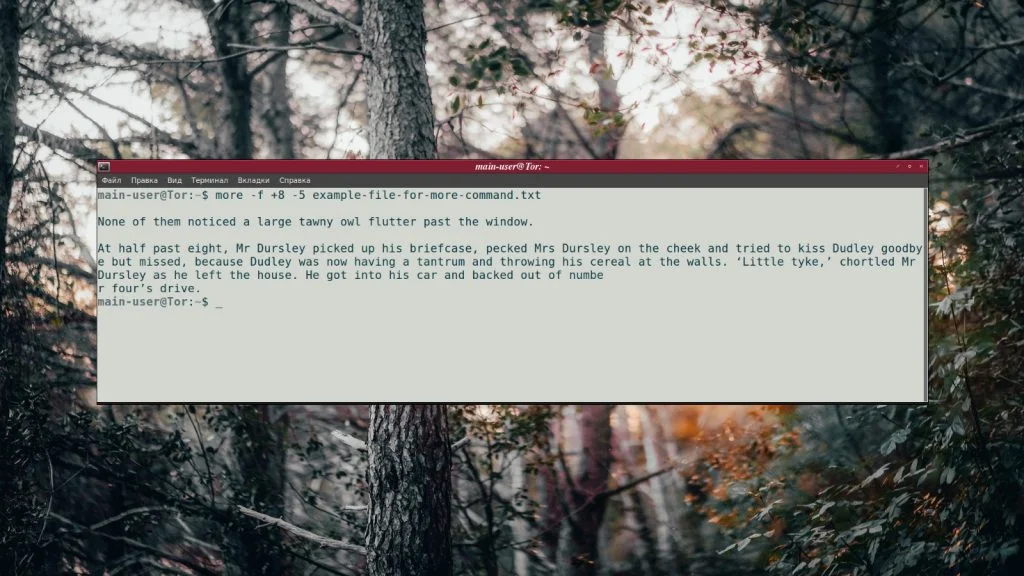 more в Linux: Как легко просматривать большие файлы в терминале