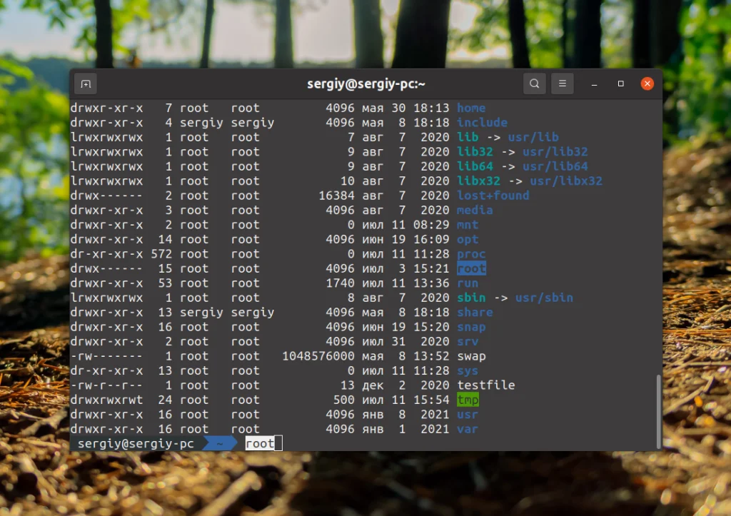 Копирование в Linux-терминале: хитрости для новичков и профи