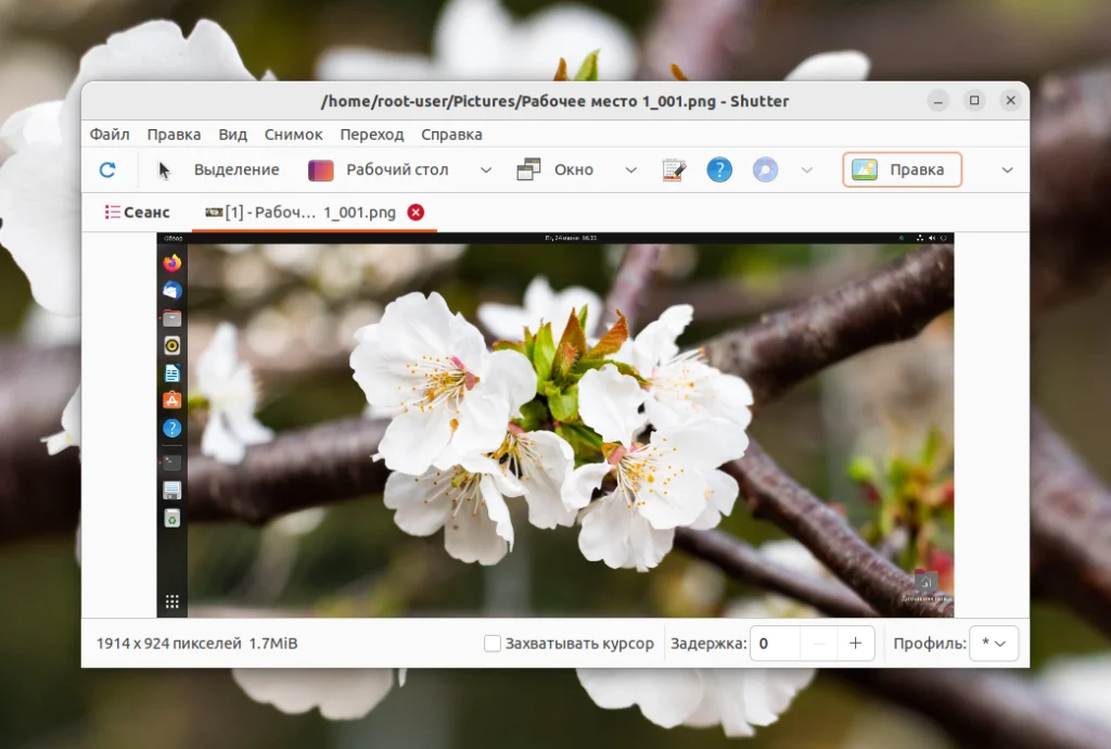 Захватываем экран Ubuntu: 2 способа сделать идеальный скриншот