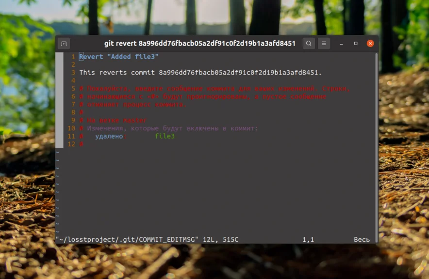 Ошибся в коммите? 4 способа откатить изменения в Git без паники
