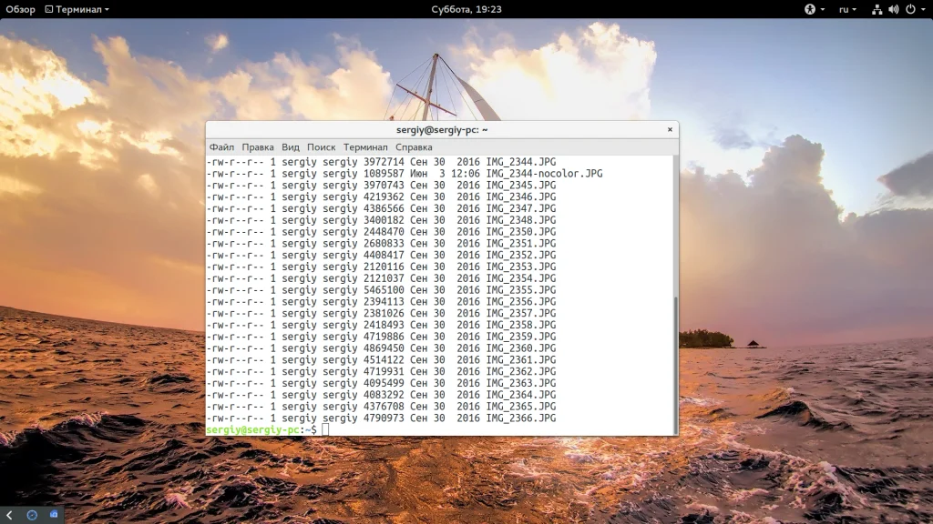 Команда ls в Linux: Полное руководство по просмотру файлов и папок