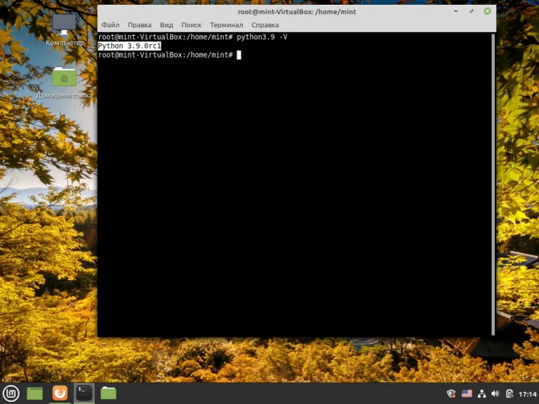 Python 3.9 в Linux Mint: Полная инструкция по установке и настройке