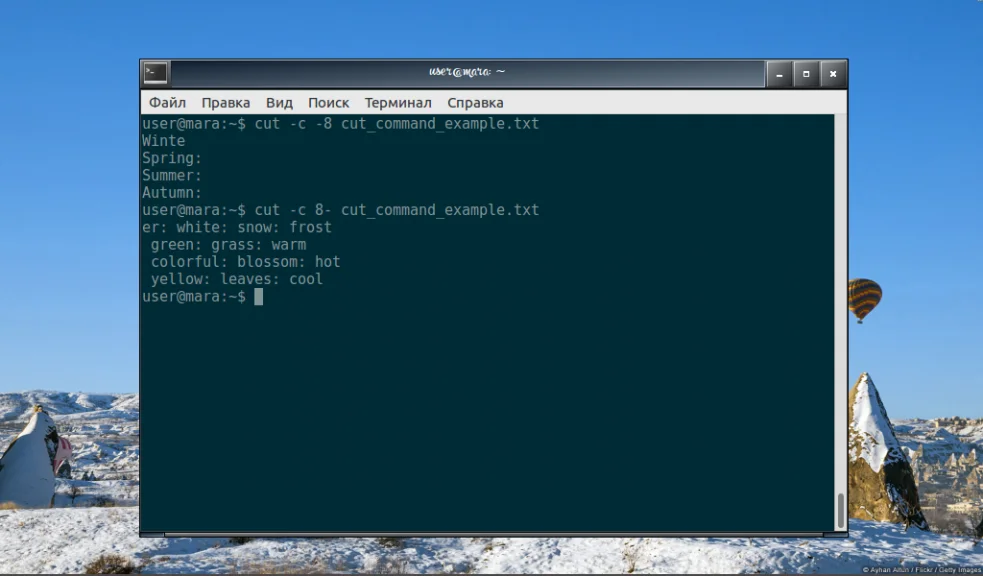 Команда cut в Linux: как легко вырезать нужные части текста