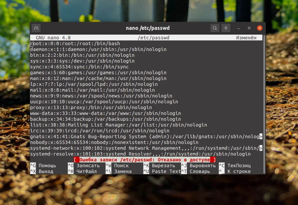 Сохраняем в nano без стресса: 2 простых способа для новичков Linux