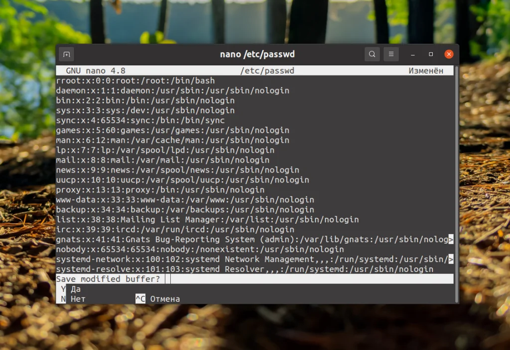 Сохраняем в nano без стресса: 2 простых способа для новичков Linux
