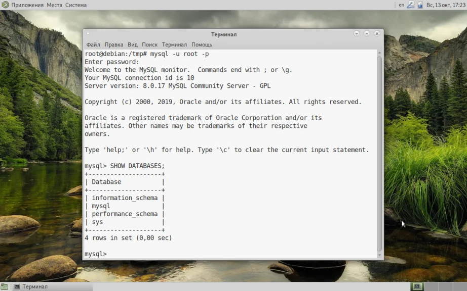 MySQL на Debian 10: Полная инструкция по установке от разработчиков