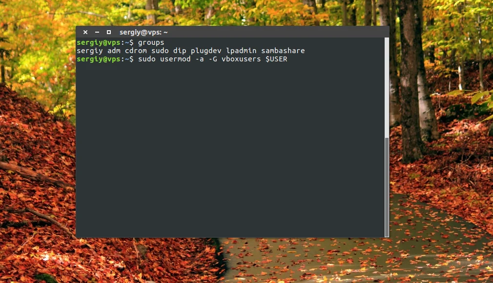 VirtualBox не видит USB в Ubuntu? Решаем проблему за 5 минут!