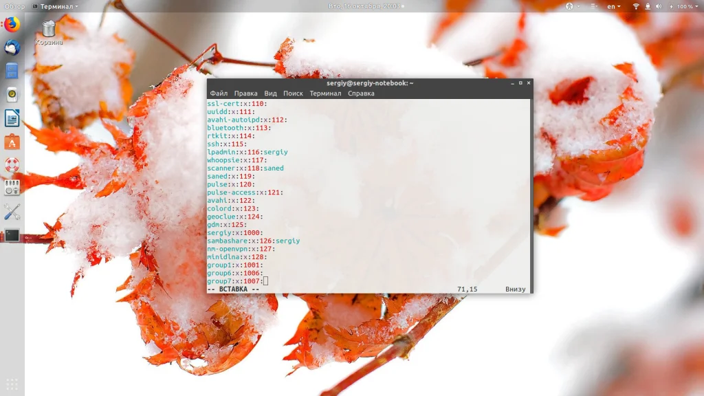 Группы в Linux: полный гайд по созданию и управлению правами