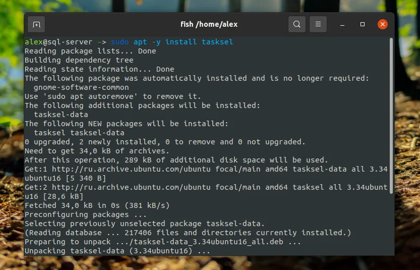 LAMP на Ubuntu 20.04: Полное руководство по установке и настройке веб-сервера