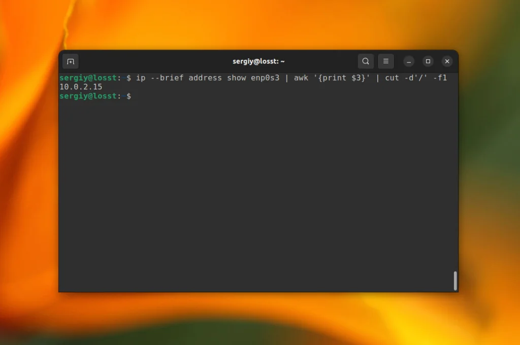 IP-адрес в Linux: 3 простых способа узнать свой адрес за 2 минуты