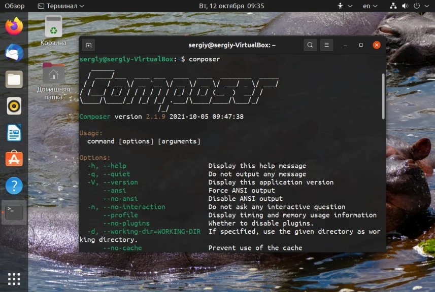 Composer в Ubuntu 20.04: Полное руководство по установке и работе с менеджером зависимостей PHP